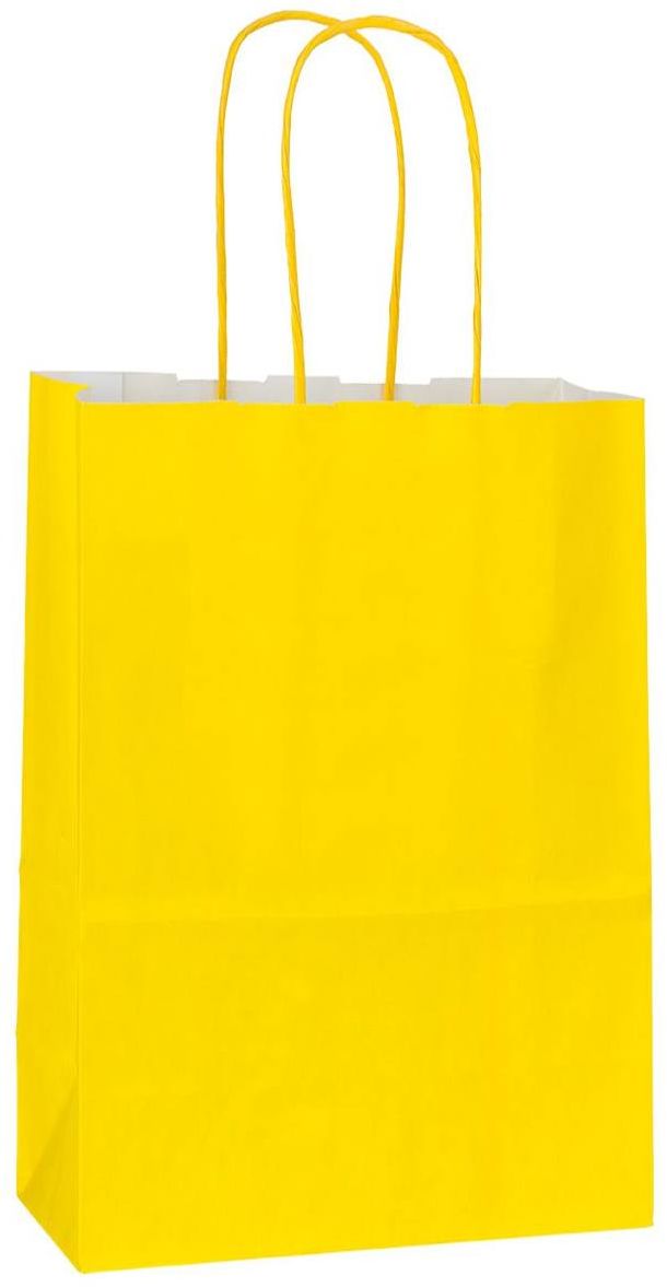 Papírová taška 18x8x20 cm