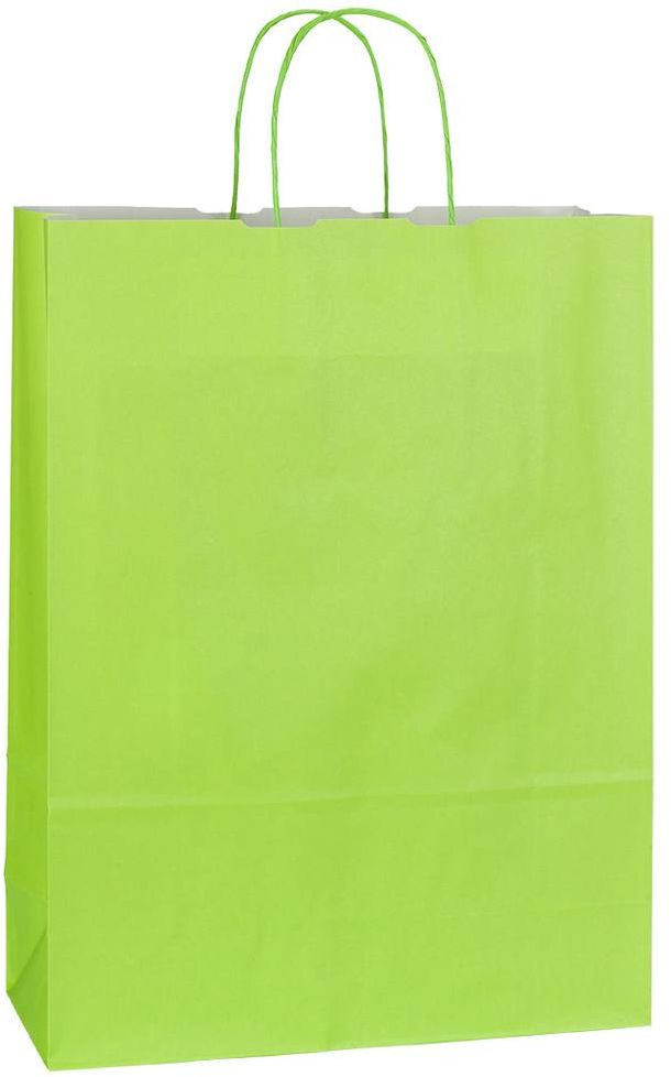 Papírová taška 32x13x42 cm