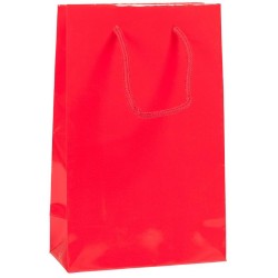 Lesklá taška 16x8x25 cm