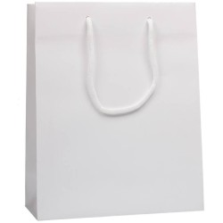 Lesklá taška 16x8x25 cm