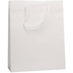 Lesklá taška 32x13x40 cm