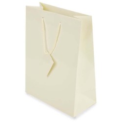Dárková papírová taška 22x30x11 cm