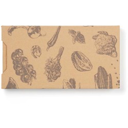 Teploměr VINGA Hays