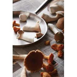 Pánev pro venkovní vaření VINGA Vici