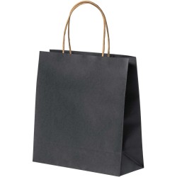 Papírová taška Fortis