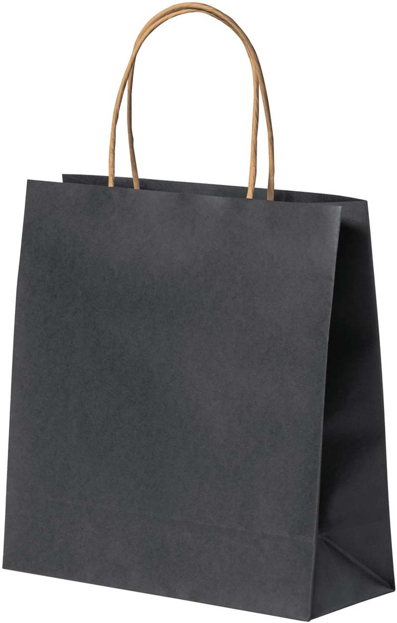 Papírová taška Fortis