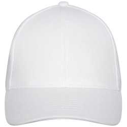 Drake 6panelová truckerka