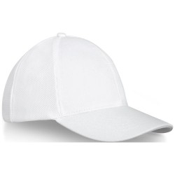 Drake 6panelová truckerka