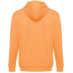 Amsterdam pánská mikina na zip s kapucí