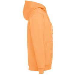 Amsterdam pánská mikina na zip s kapucí