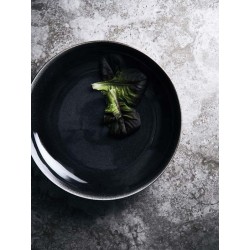 Mísa 31 cm VINGA Nomimono