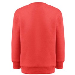 THC DELTA KIDS. Dětská mikina