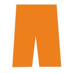 Pánské basketbalové šortky