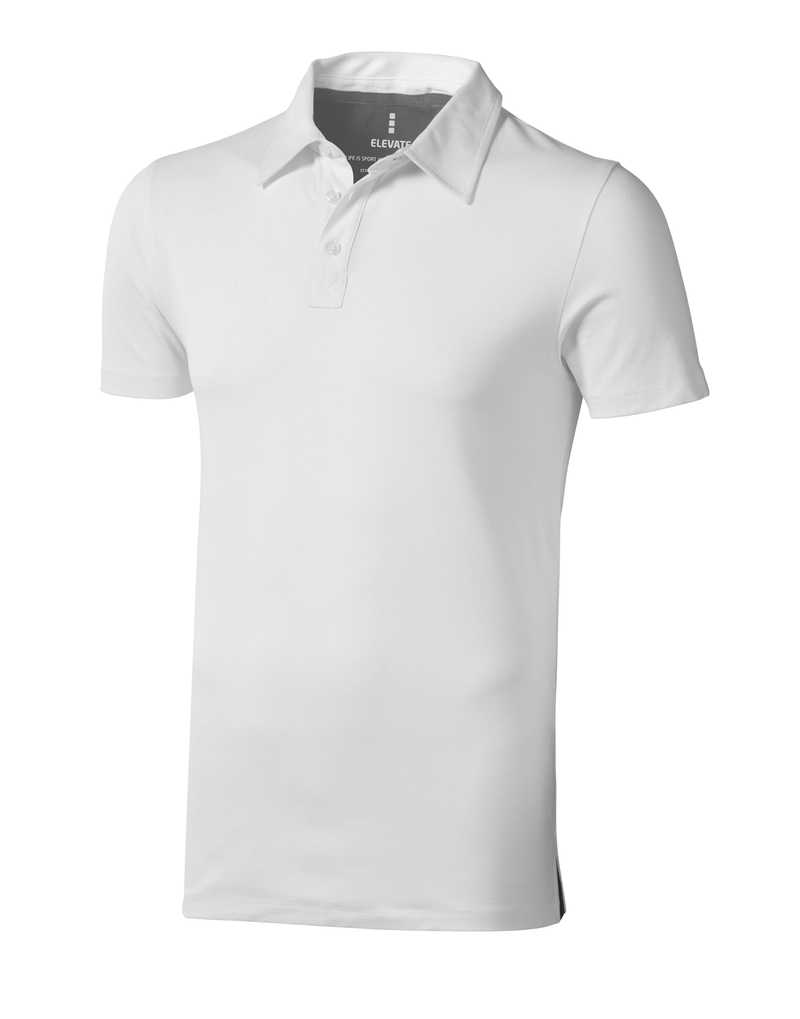 Markham polo