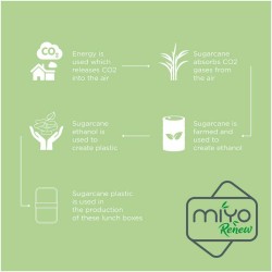 MIYO Renew dvoupatrový jídelní box