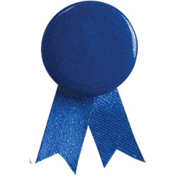 Solidario placka se špendlíkem