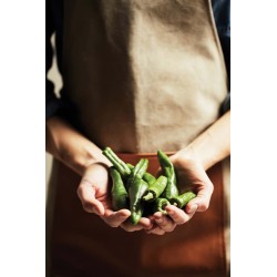 Zástěra VINGA Asado