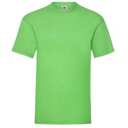 Pánské tričko Valueweight T 165g