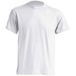 Pánské tričko Regular 155g