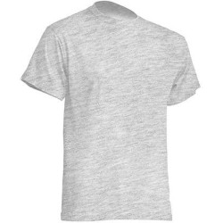 Pánské tričko Regular Premium 190g