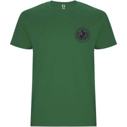 Stafford pánské tričko s krátkým rukávem