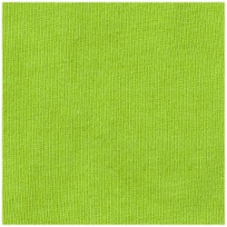 Nanaimo dámské triko