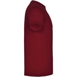 Beagle dětské tričko s krátkým rukávem