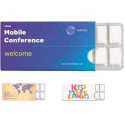 12 ks žvýkaček bez cukru