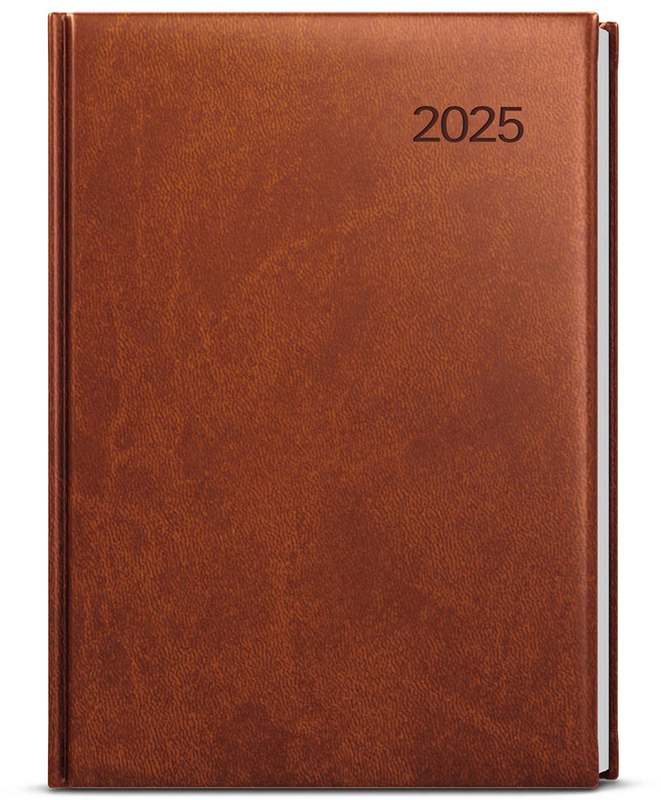 Denní diář - David - vivella - A5