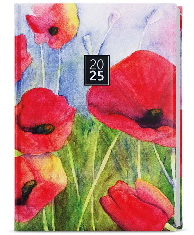 Denní diář - David - lamino - A5