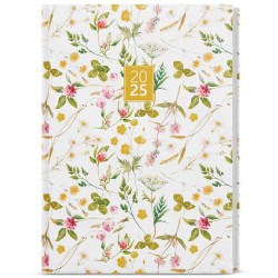 Denní diář - David - lamino - A5