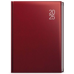 Denní diář - David - balacron - A5