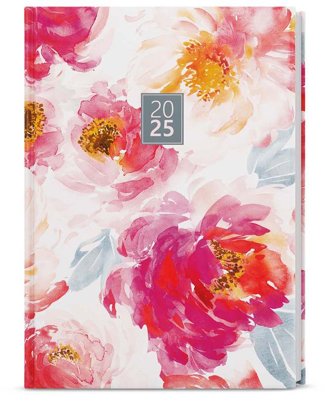 Denní diář - Adam - lamino - B6