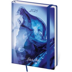 Diář denní A5 Vario