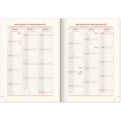 Denní diář Diario