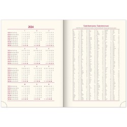 Denní diář Diario