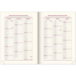 Denní diář Diario