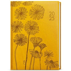 Týdenní diář - Prokop - vivella s ražbou - B6 - tyrkys - Louka