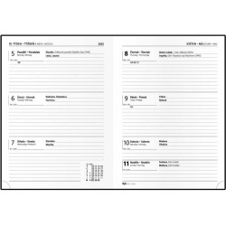 Týdenní diář - Prokop - lamino - B6