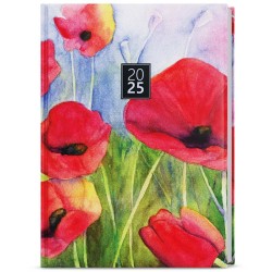 Týdenní diář - Prokop - lamino - B6