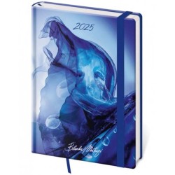 Diář týdenní A5 Vario