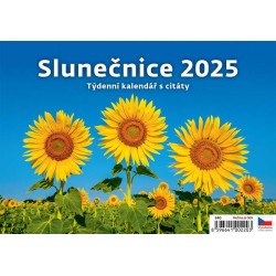 Slunečnice