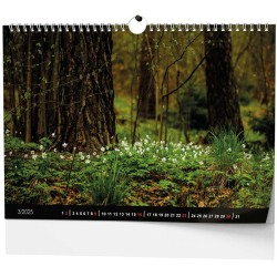 Nástěnný kalendář A3 - Les