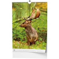 Nástěnný kalendář A3 - Myslivecký