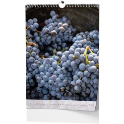 Nástěnný kalendář A3 - Víno