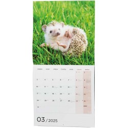 Nástěnný kalendář - Poznámkový - Zvířátka