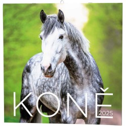 Nástěnný kalendář - Poznámkový - Koně