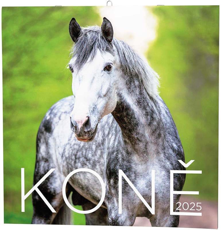 Nástěnný kalendář - Poznámkový - Koně