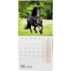 Nástěnný kalendář - Poznámkový - Koně