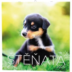 Nástěnný kalendář - Poznámkový - Štěňata